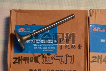 ZH4100D進(jìn)排氣門